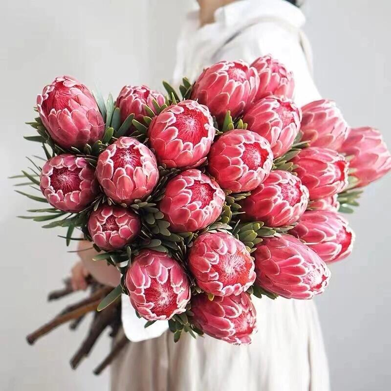 南非进口公主花水培植物鲜花花束室内插花云南顺丰直发