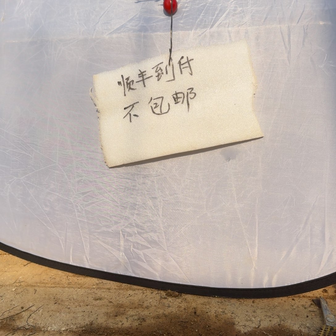 四***哥无花朵943两颗顺丰到付不包邮