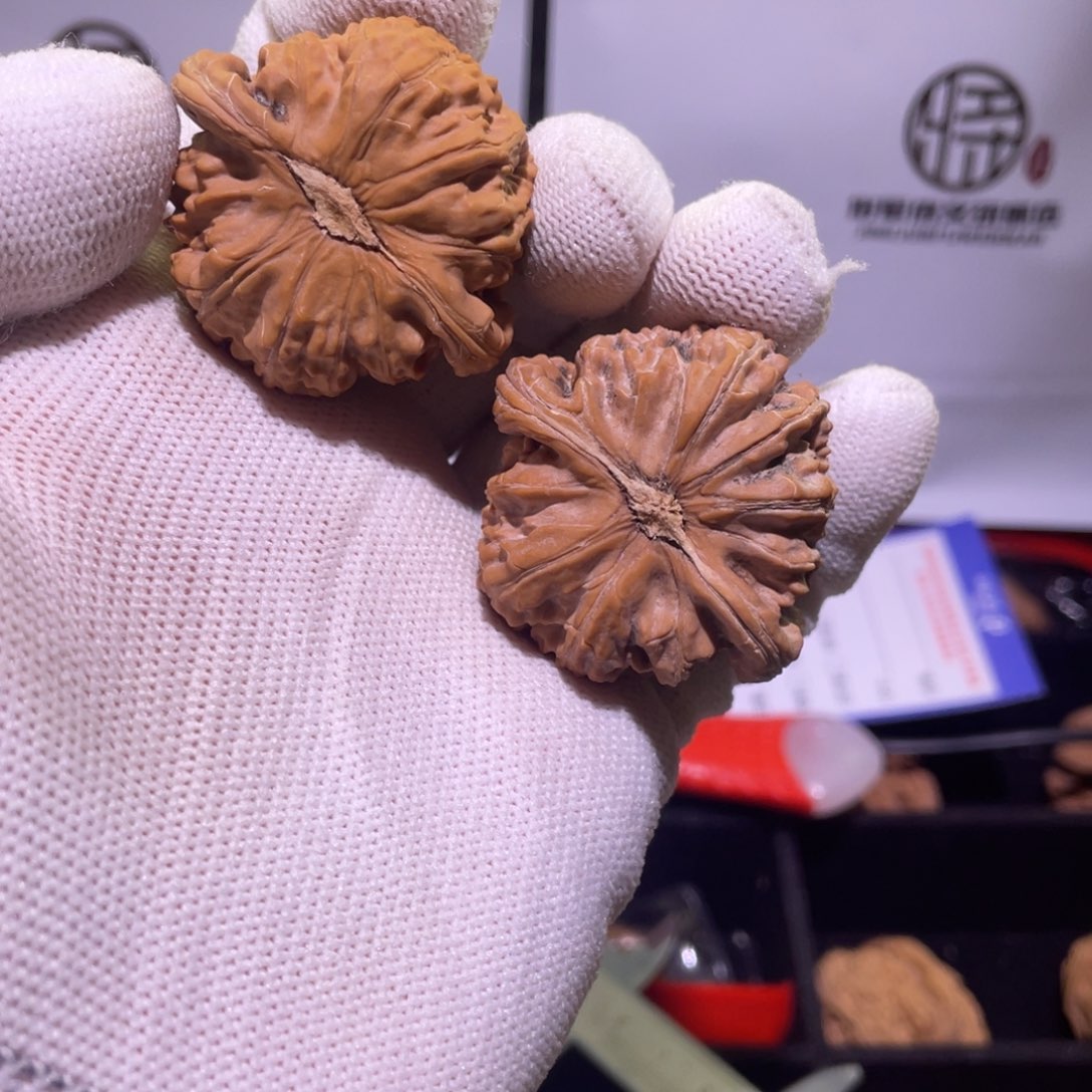 文玩核桃把件662 三角白