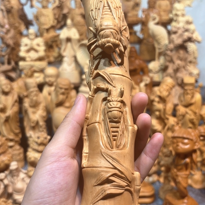 黄杨木黄杨木小叶知了