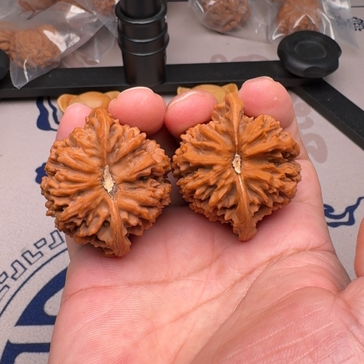 桃核吊坠山地满天星47尺6尖有浮黄