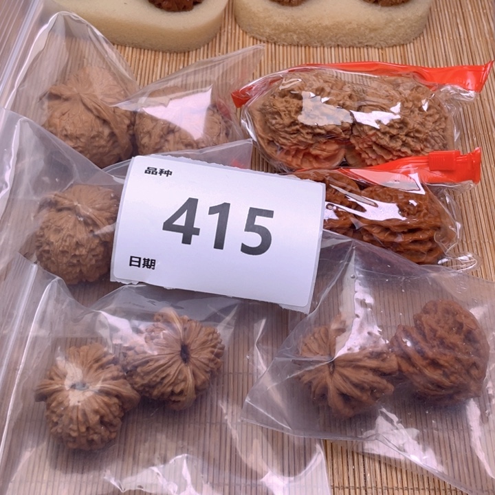 文玩核桃把件415号6对带练手南瓜墩