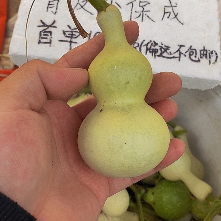 感****伴一巨巨巨挥霍轨迹了吗哈哈哈