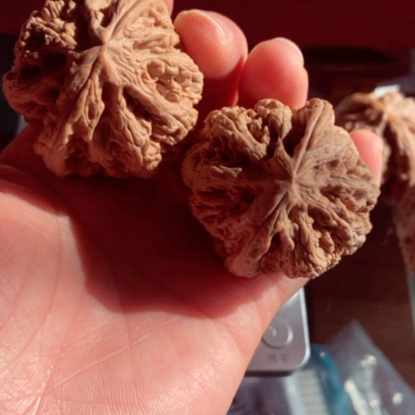 【闪购商品】3**043尺寸全品平谷大粗筋