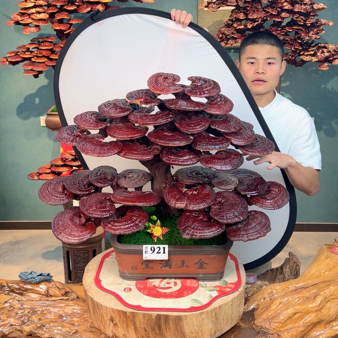 无花朵889888888888