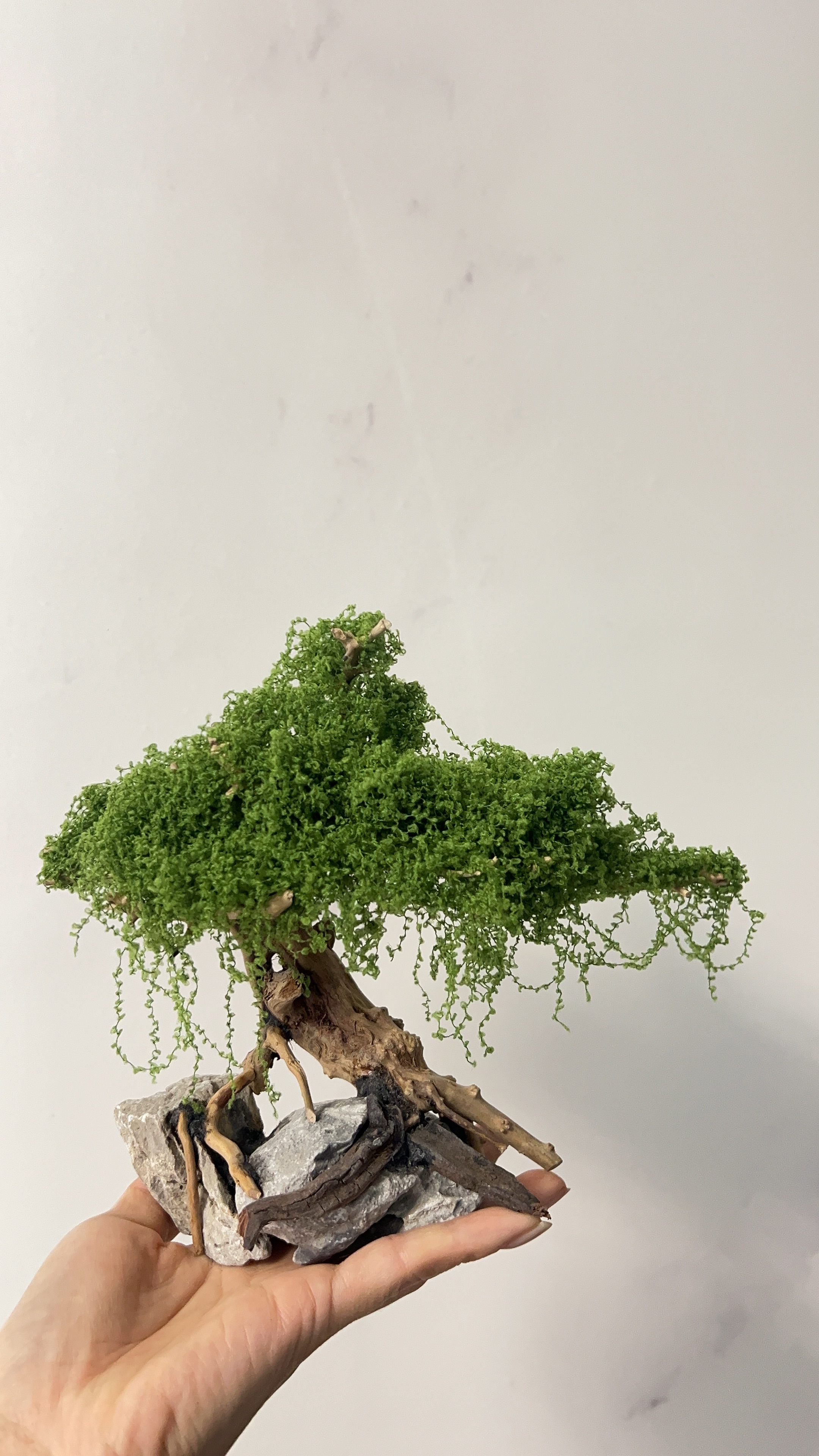 鱼缸造景一体骨架