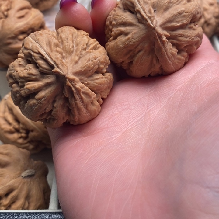 J***e吊坠文玩核桃霸王龙