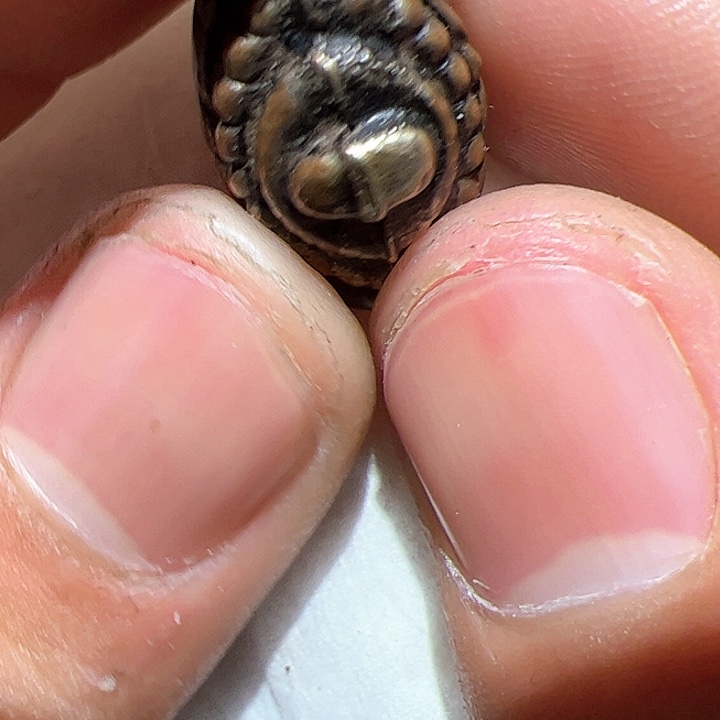 香榧木在家了一个