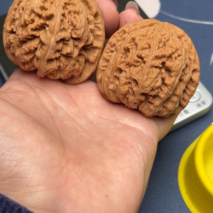 文玩核桃把件粗筋48