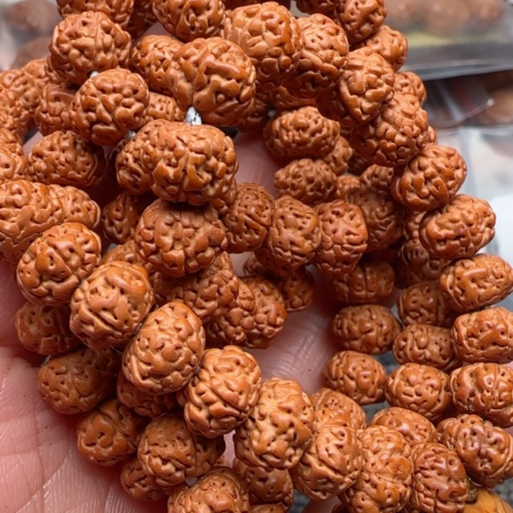 橄榄核吊坠橄榄菜等经济作物的