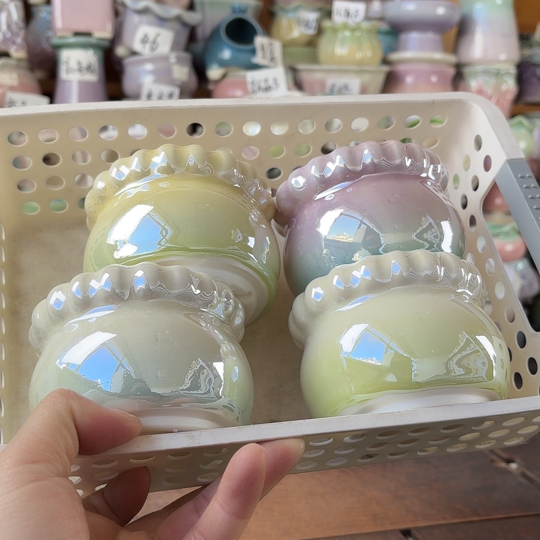 量货/6口高6.5深浅搭配发4