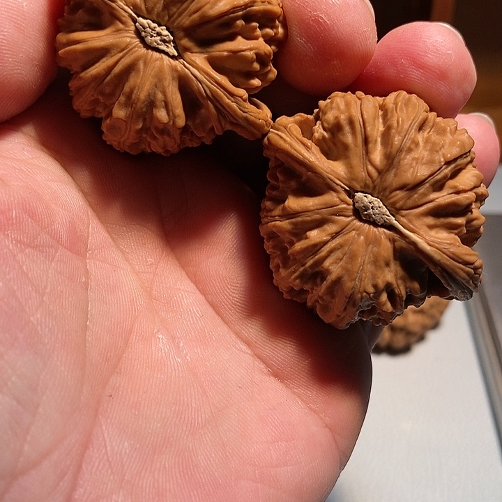 【闪购商品】文玩核桃吊坠Z*g白石子