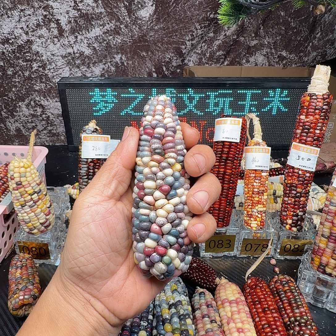 ʚ***然大叶紫檀（黑酸枝木类）