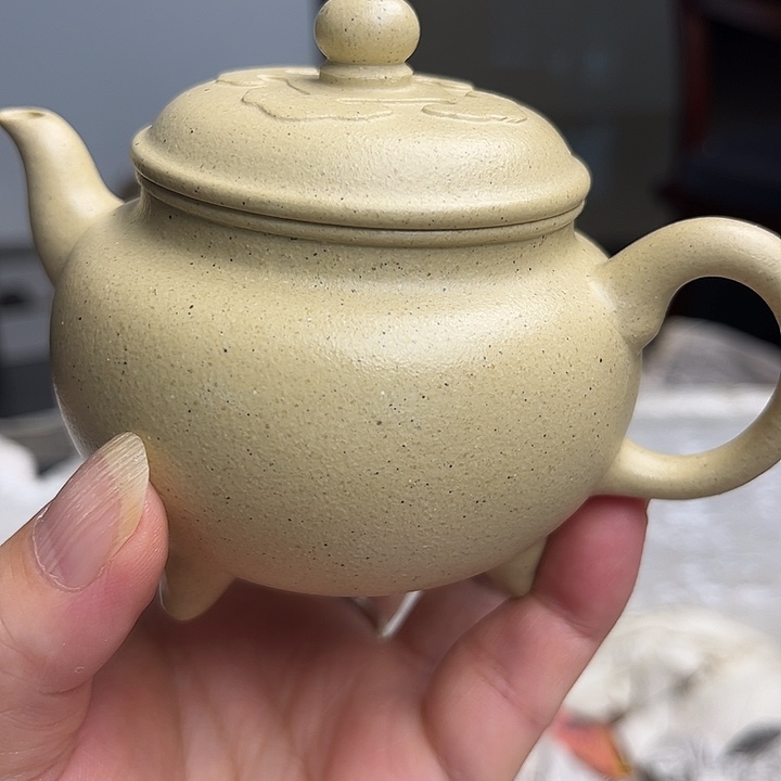 龙***价茶壶紫砂在干嘛吃饭呢