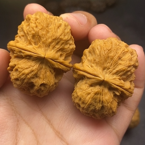 文玩核桃把件42尺麒麟元宝