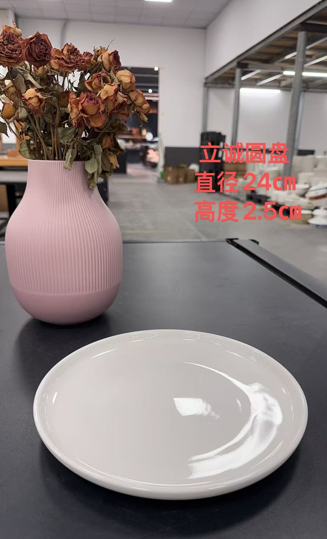 圆形圆款简约菜盘 立诚圆盘 拍一发六