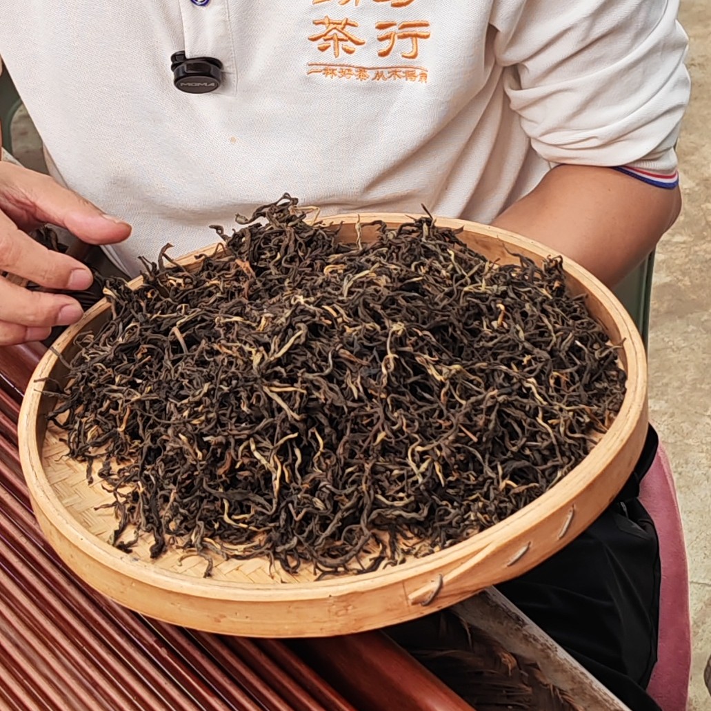 2025年春【邦骂·红茶·混采】晒红散茶-9月6日【26】