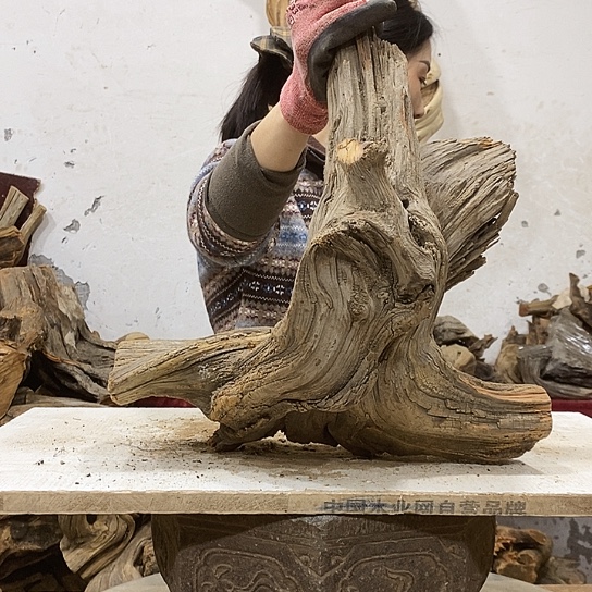 时***转柏木我们都是好孩子