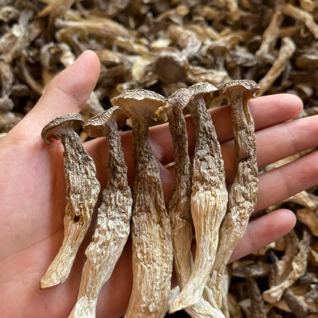 古田高山鹿茸菇干货新货无硫无熏可凉拌炒肉煲汤