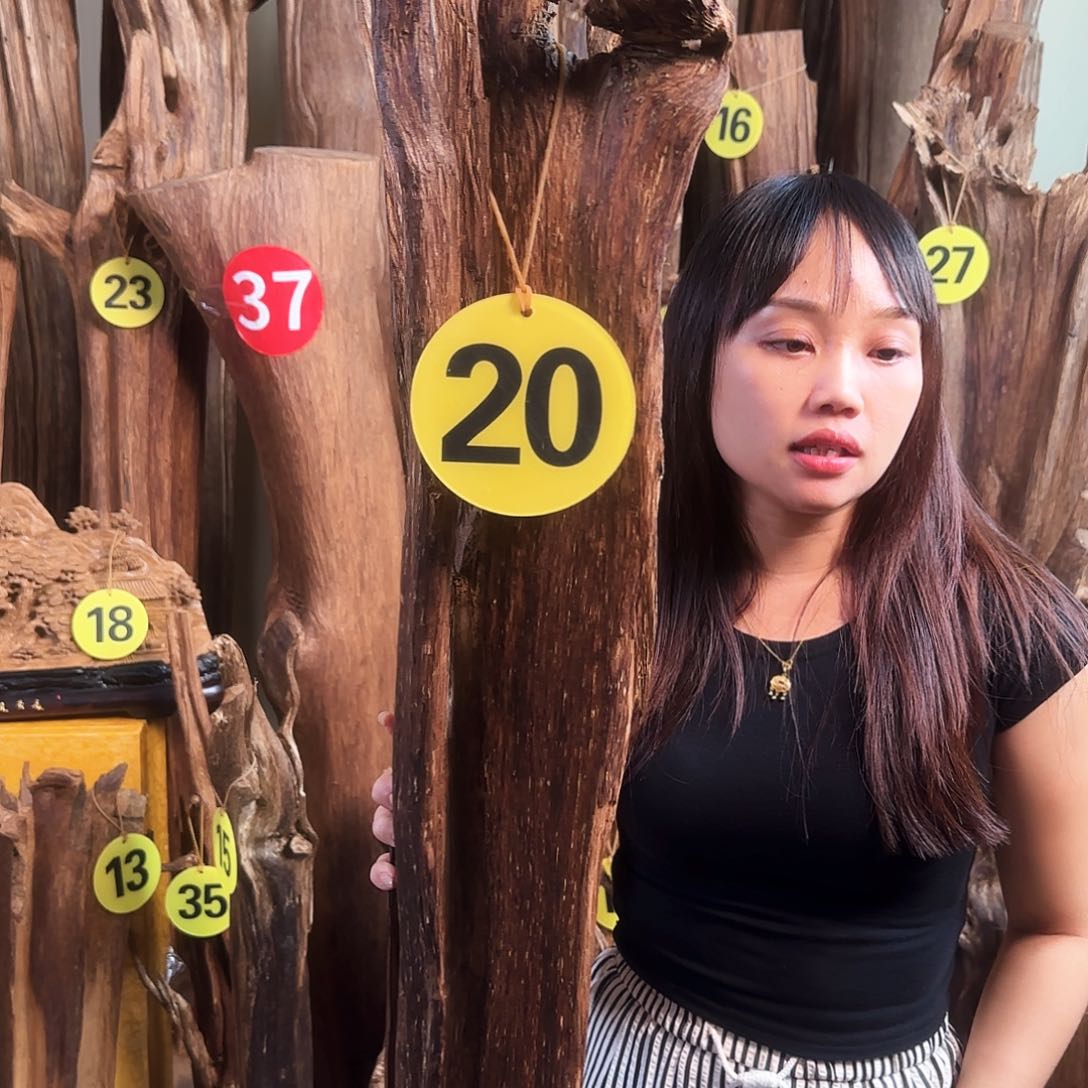 沉香摆件天然沉香原材料摆件➕底座