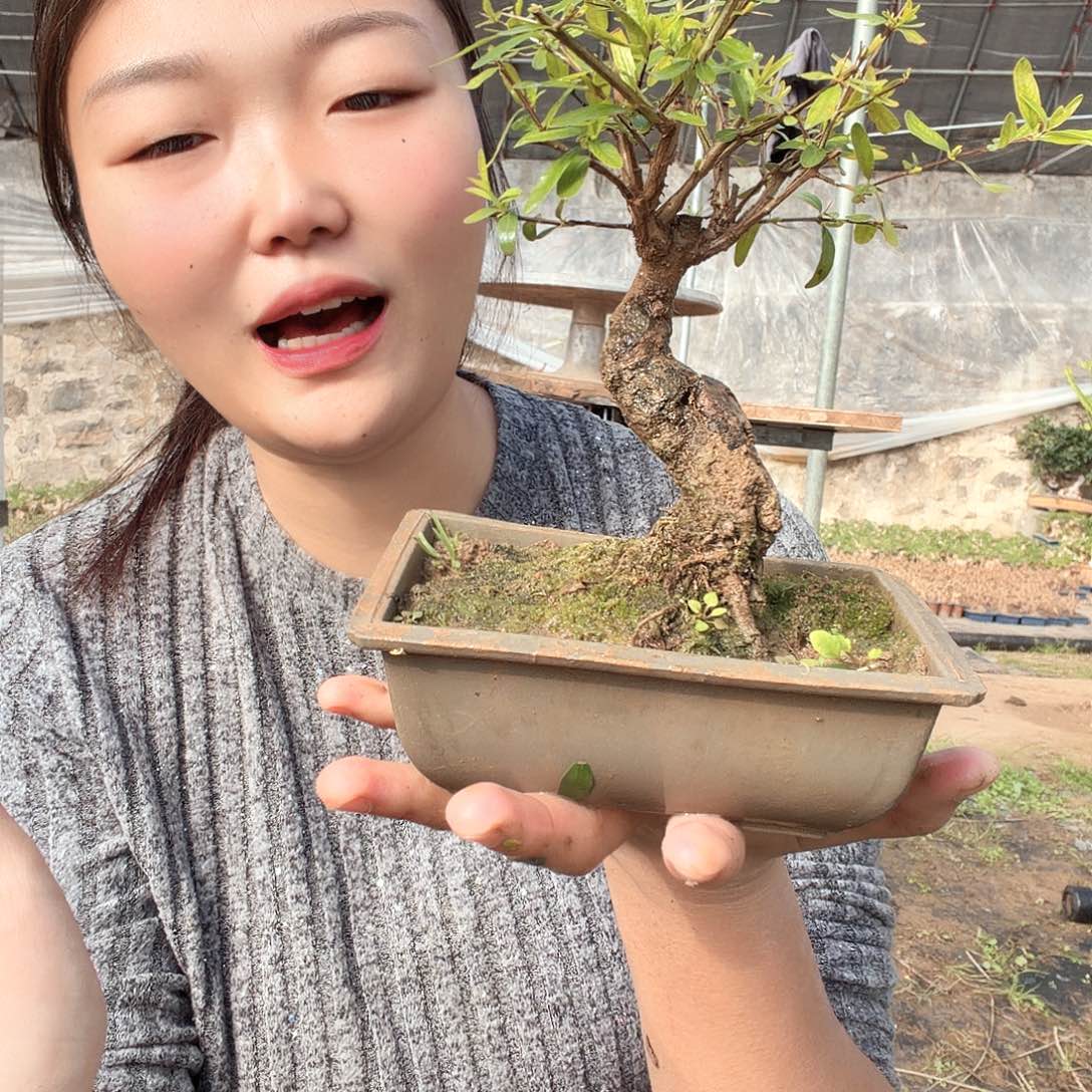 用***5无花朵你乖乖回家哈哈