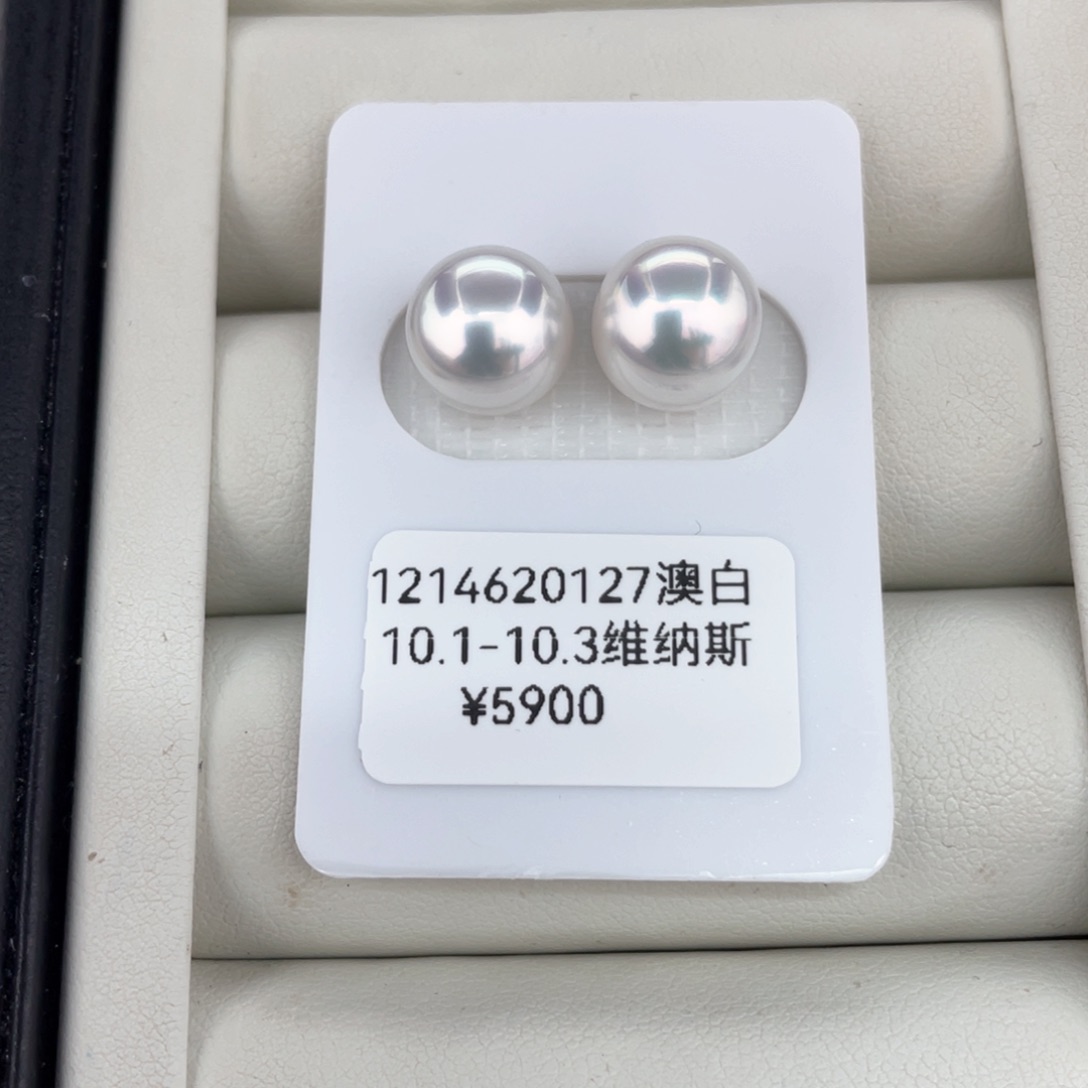 未镶嵌耳饰定制海水珍珠澳白维纳斯10.1-10.3