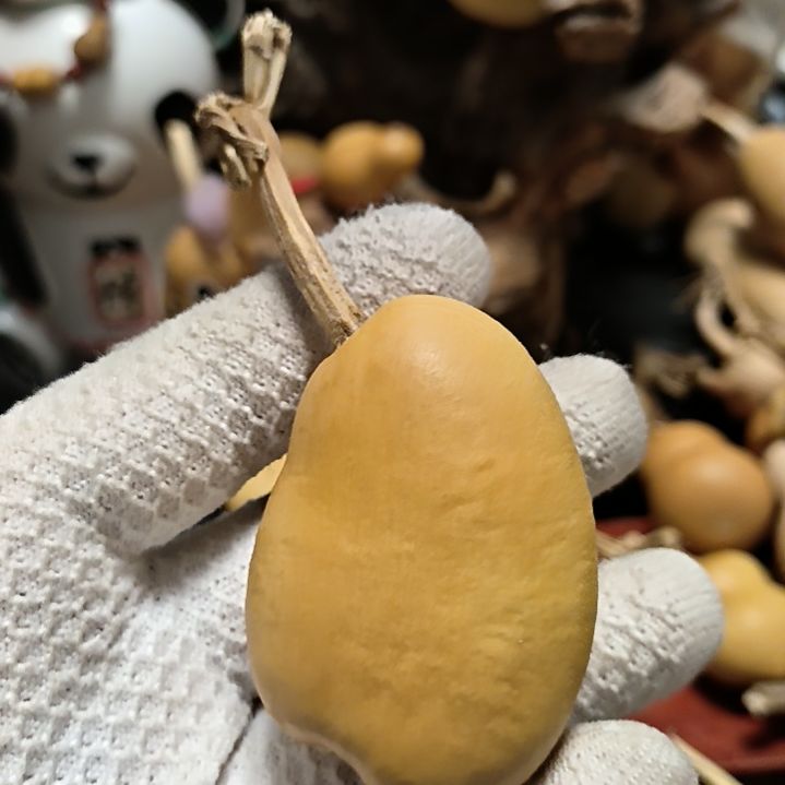 永***哥666666666666666666