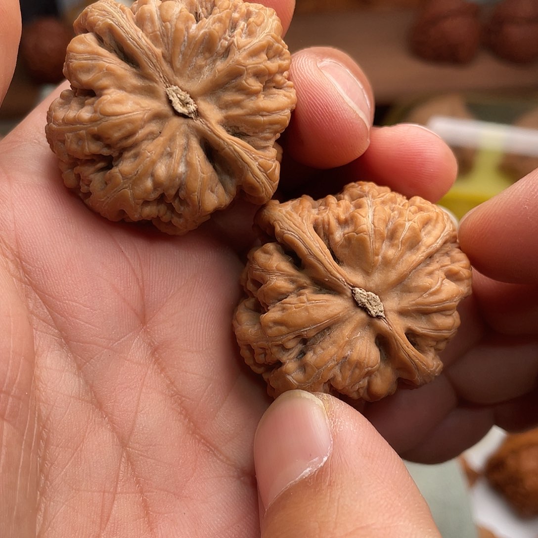 雒***龙文玩核桃吊坠大粗筋