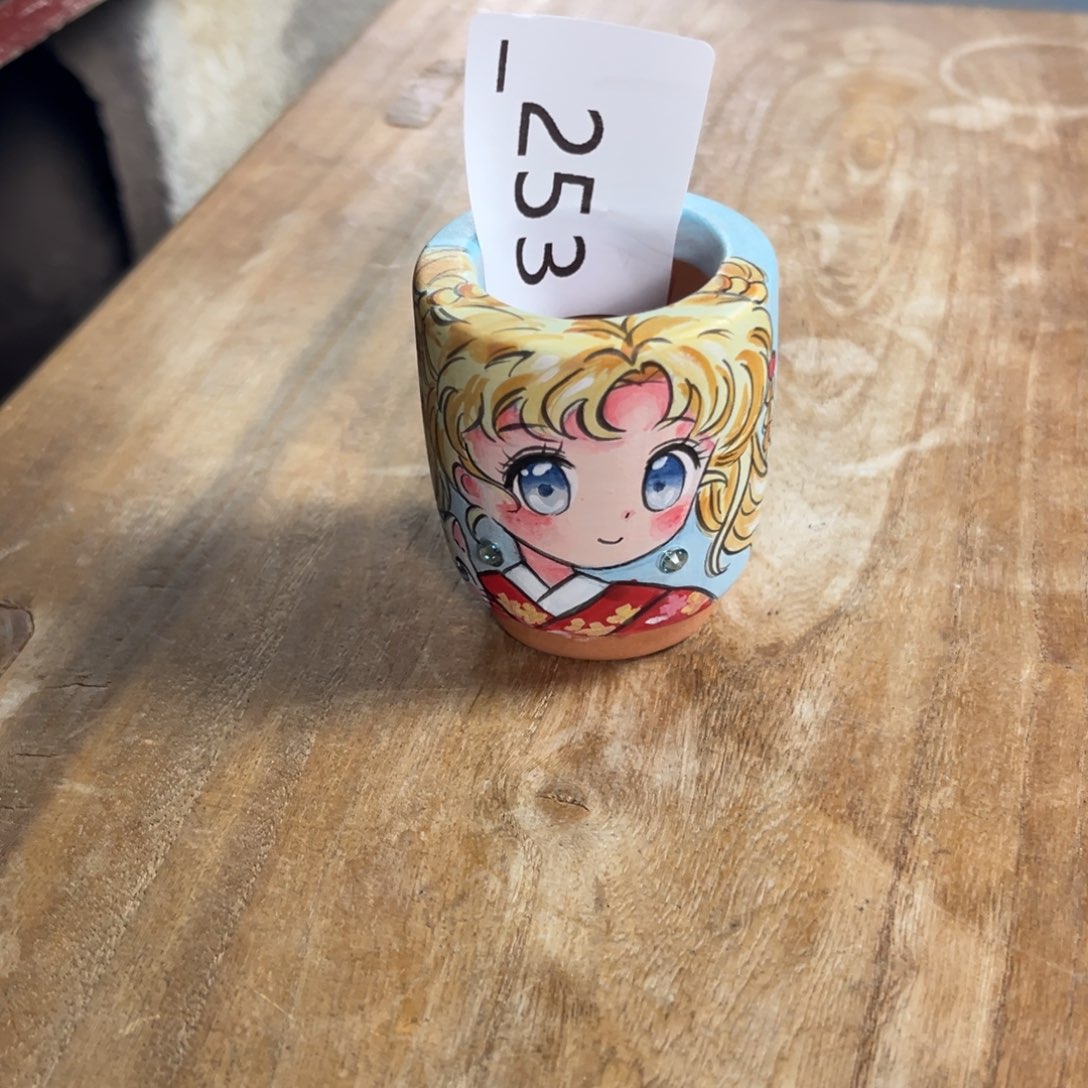 @****253多肉花盆29.9元1个