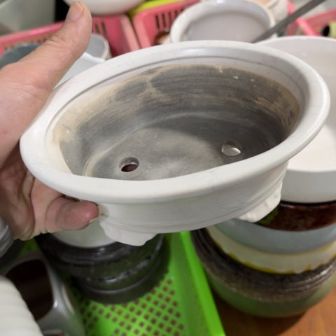 ［所有订单凑满15明天发］15×11×5