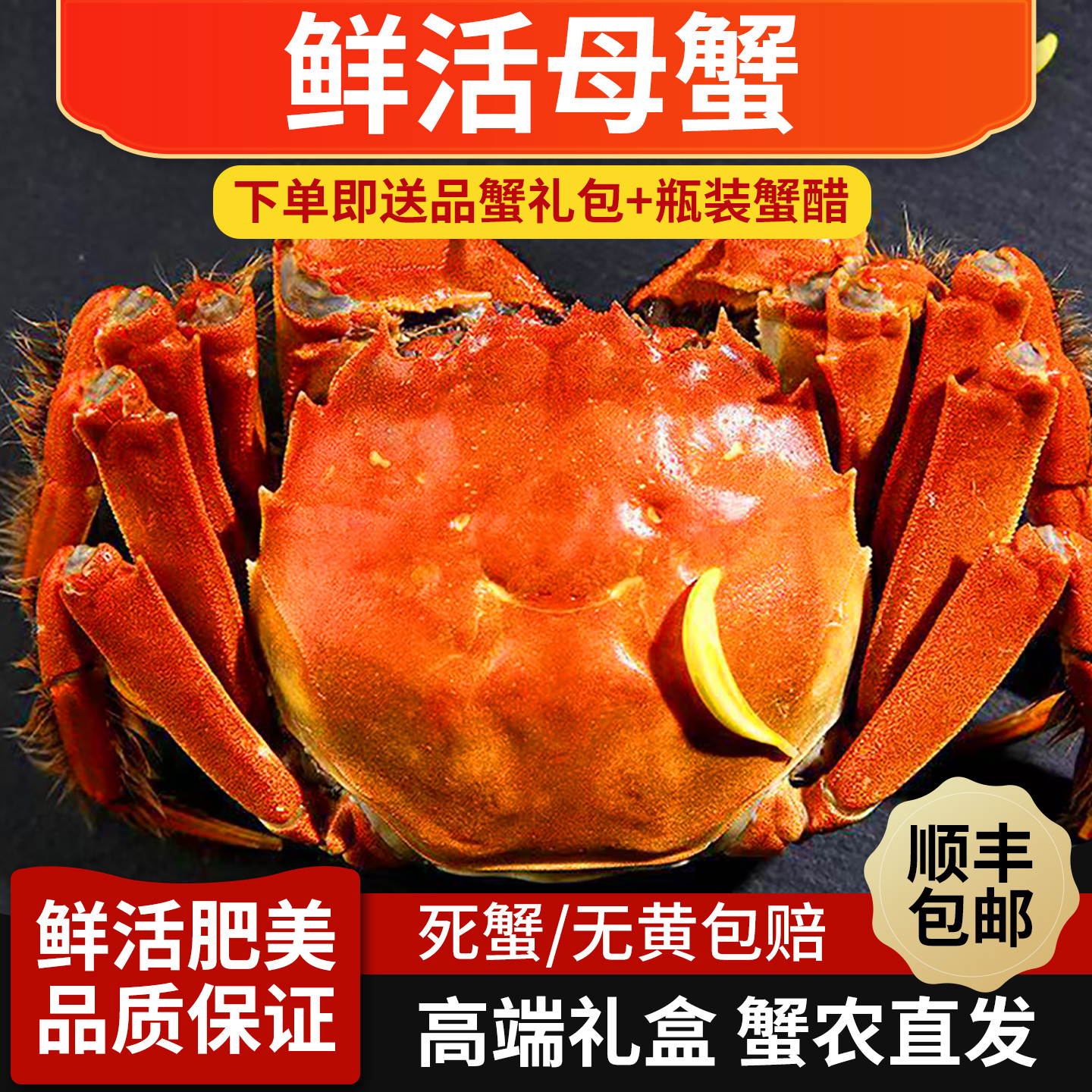 【活蟹现发】江苏大闸蟹精挑全母蟹单只规格3两-2.7两 礼盒装10只