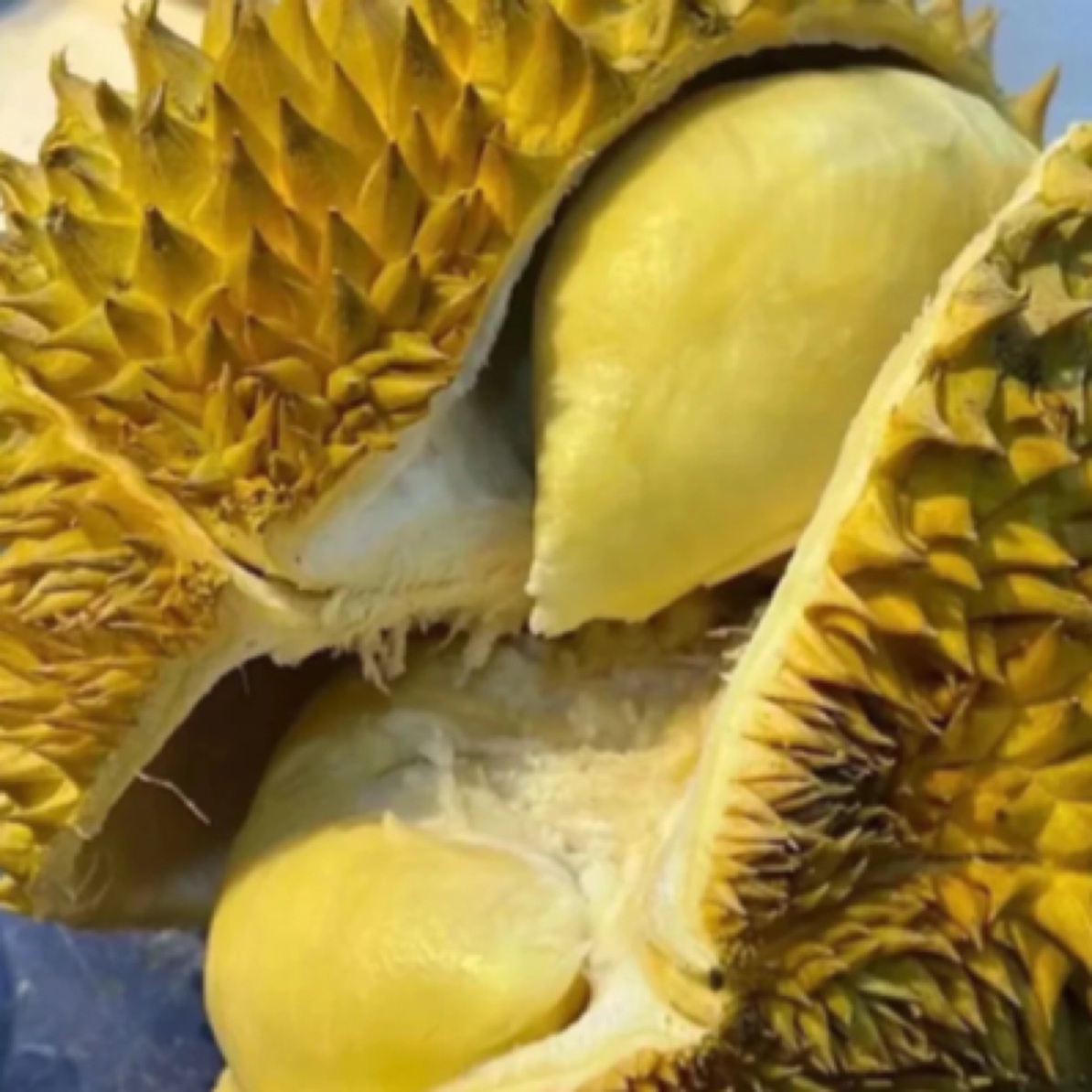 正宗泰国空运树熟双A金枕鲜榴莲，核小。干包黄肉，软糯香甜。售后无忧。g金枕泰国