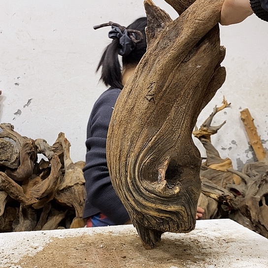 养***人柏木我们都是好孩子