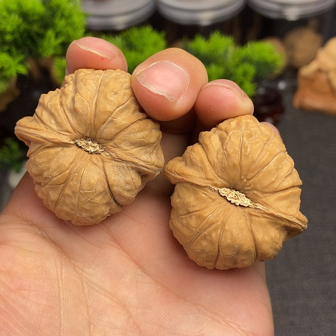 核桃南瓜墩40尺寸编号9297