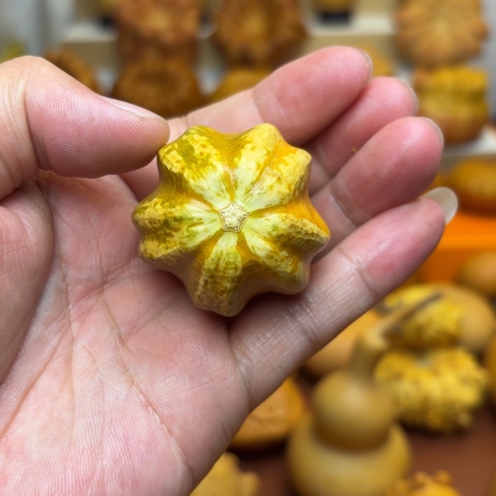 特价福利不退不换