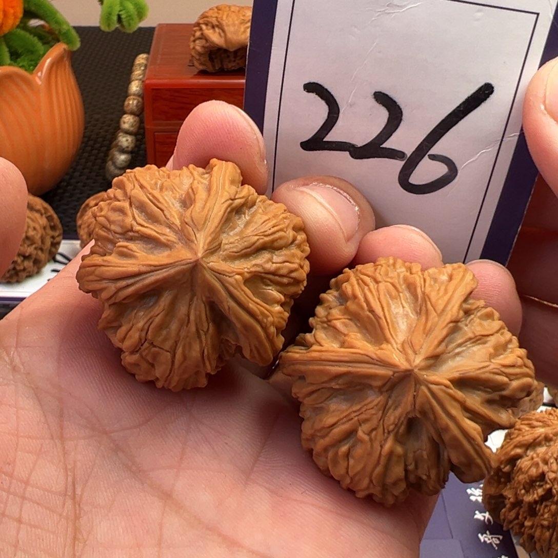 文玩核桃把件全品御龙粗筋三棱38尺寸226号