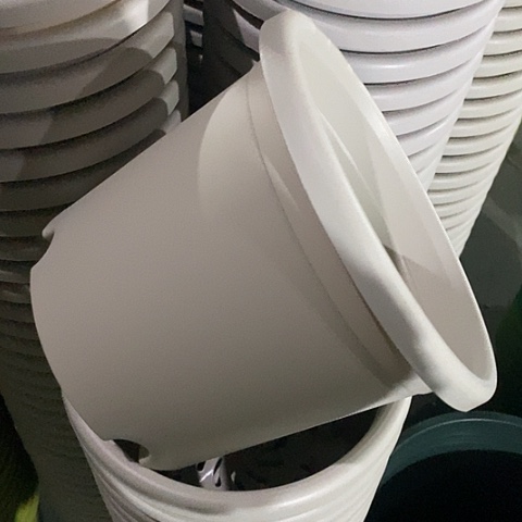 树脂四季3号微瑕灰白无托10个