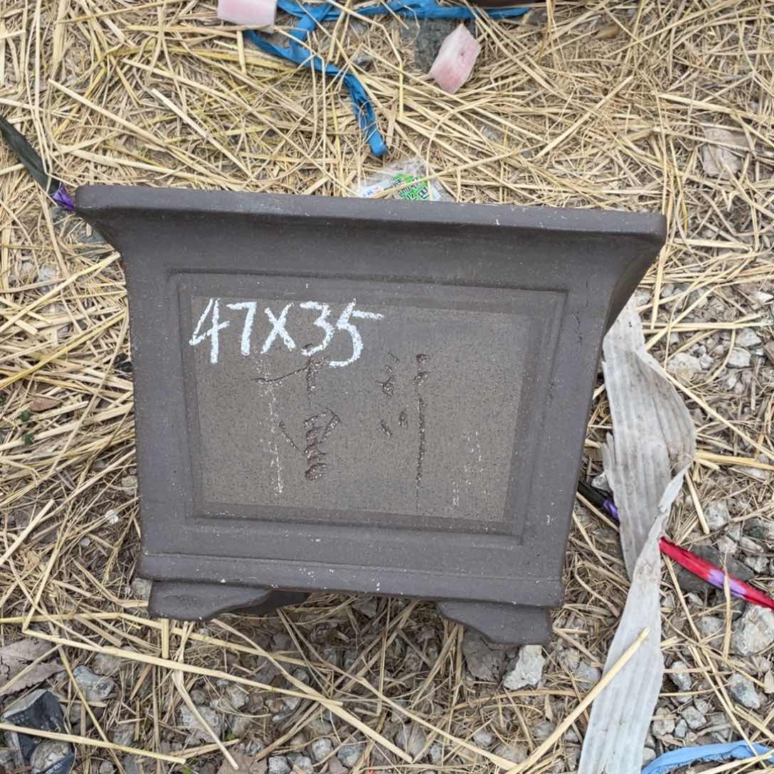 紫砂垚四方 47*35 一只