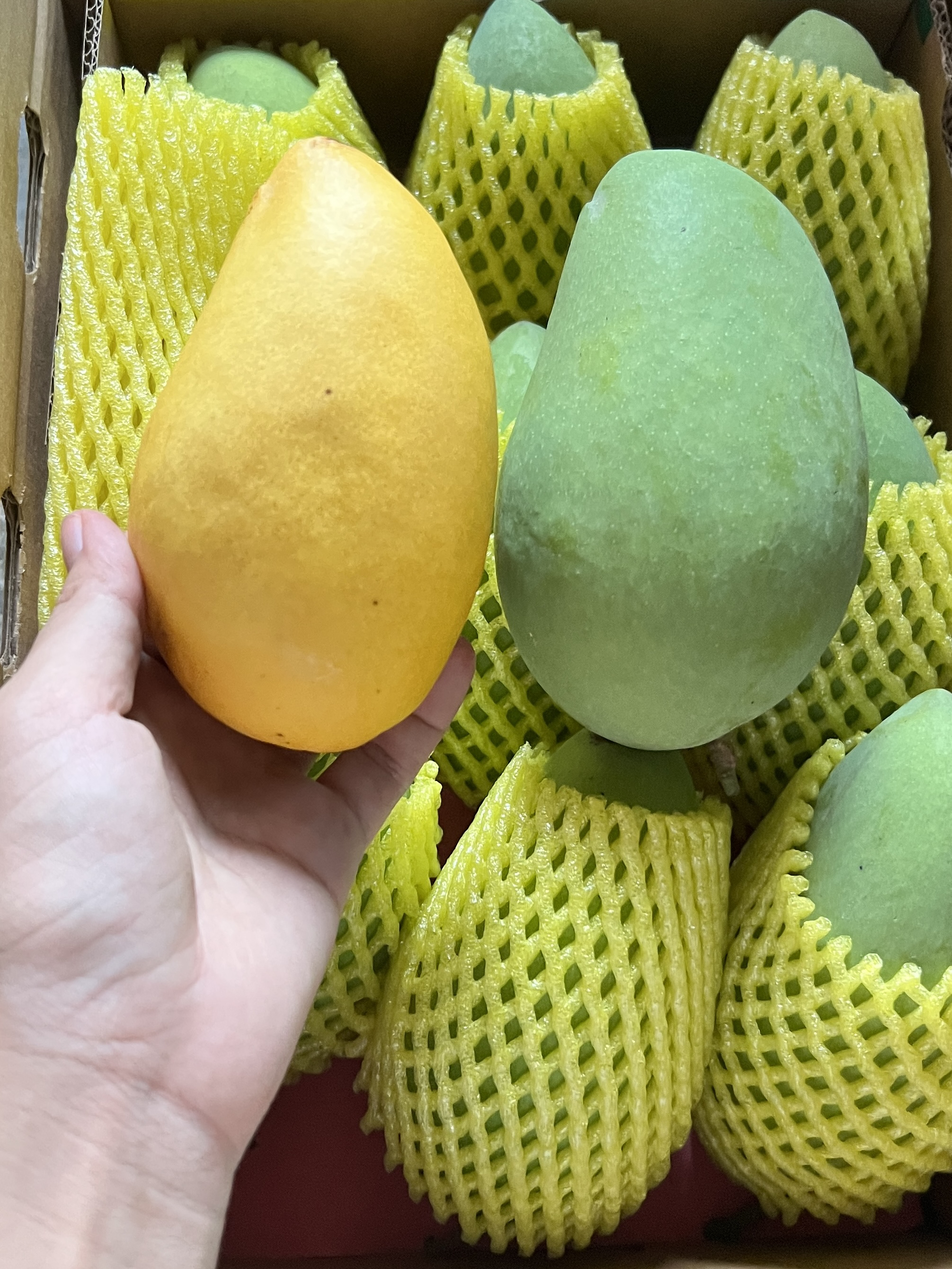 大小台农礼盒装广西百色芒果之乡新鲜芒果当季大台农芒果送礼