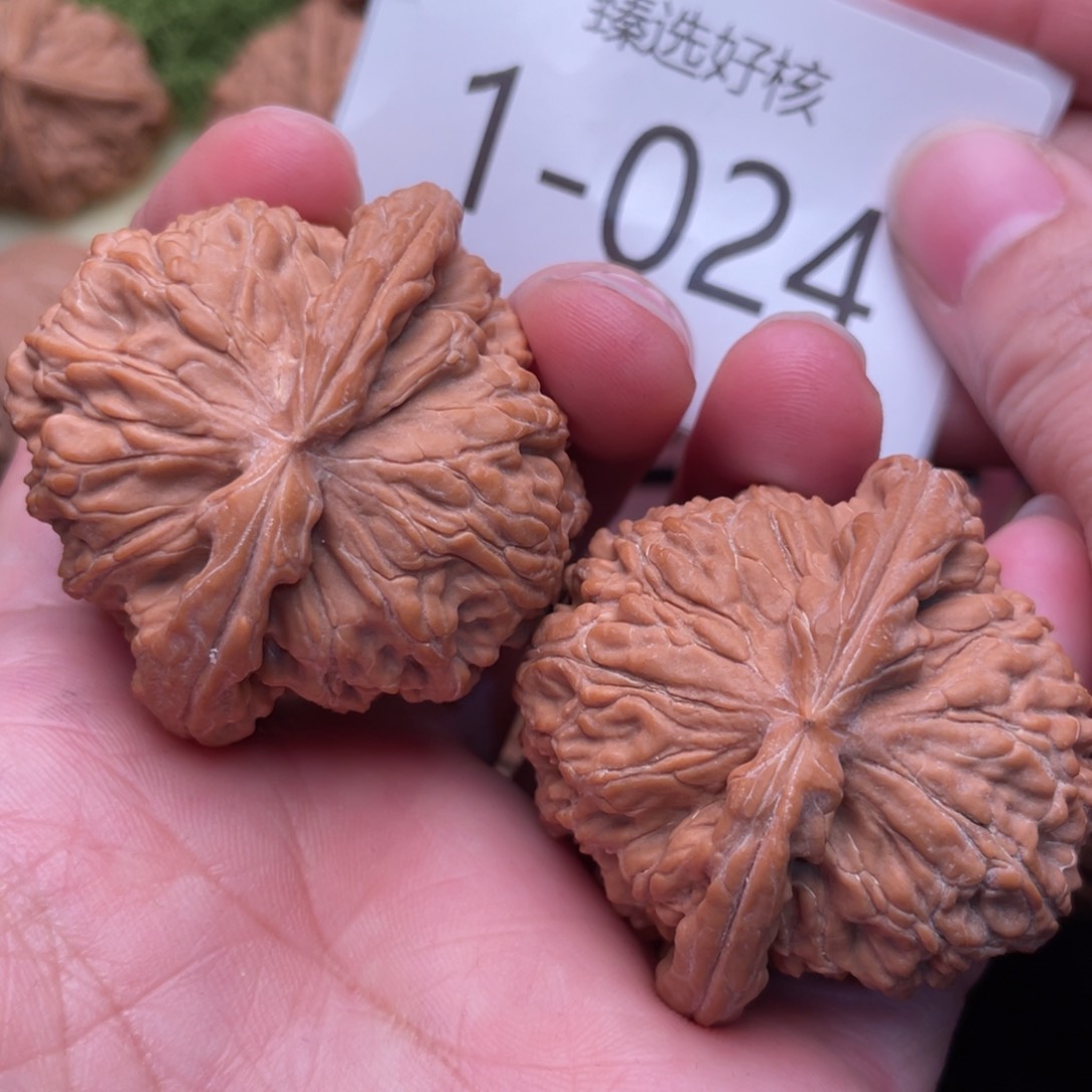 文玩核桃把件精配白狮子44