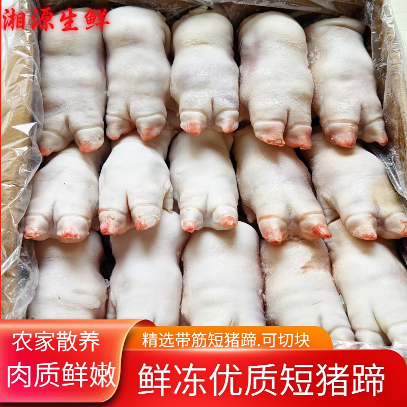 新鲜短猪蹄鲜冻真空包装烧烤食材猪脚块卤煮下酒菜商用批发