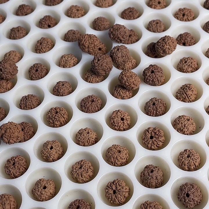 金刚菩提吊坠平细散籽19.9福利款110颗