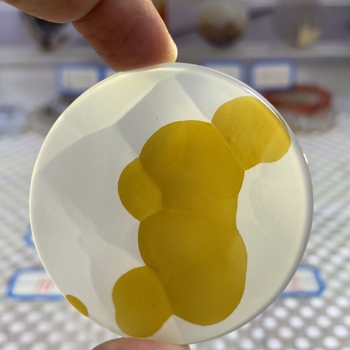 玛瑙/玉髓颈饰合金