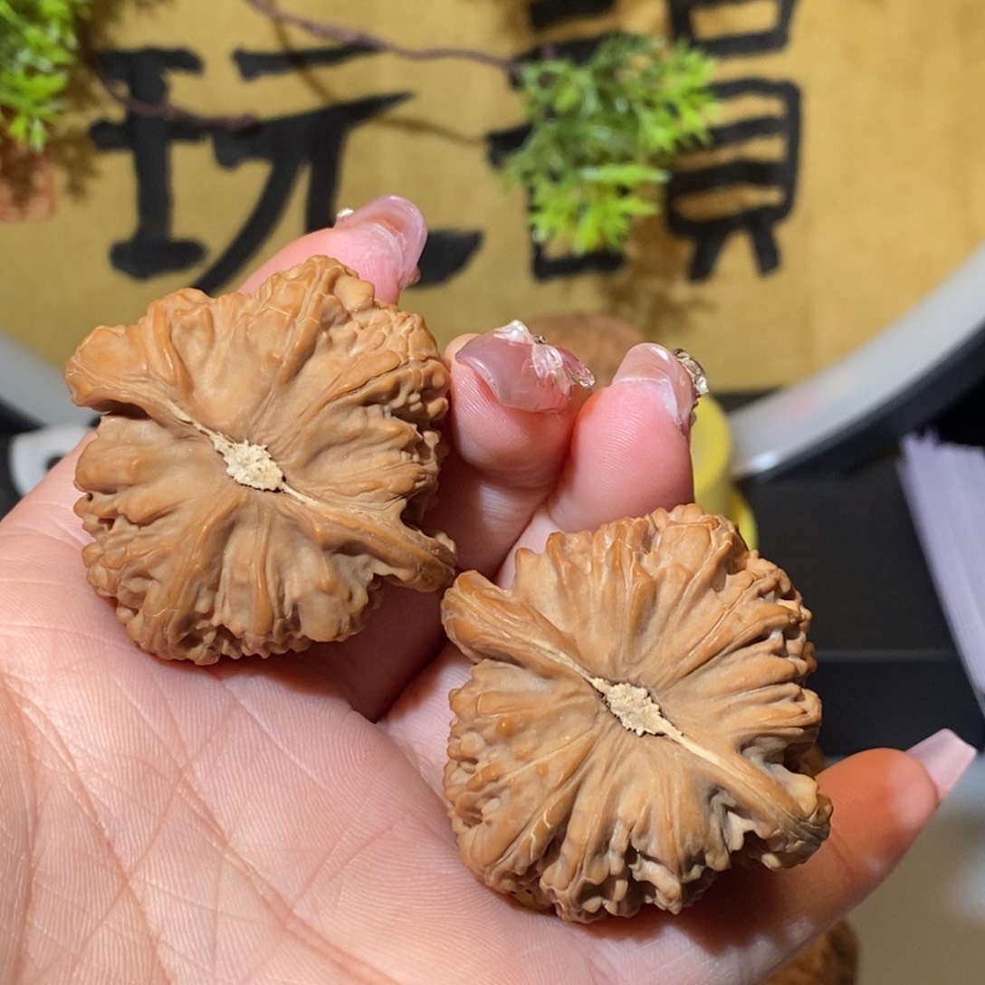 核桃手串/手链代*生41尺全品白狮子