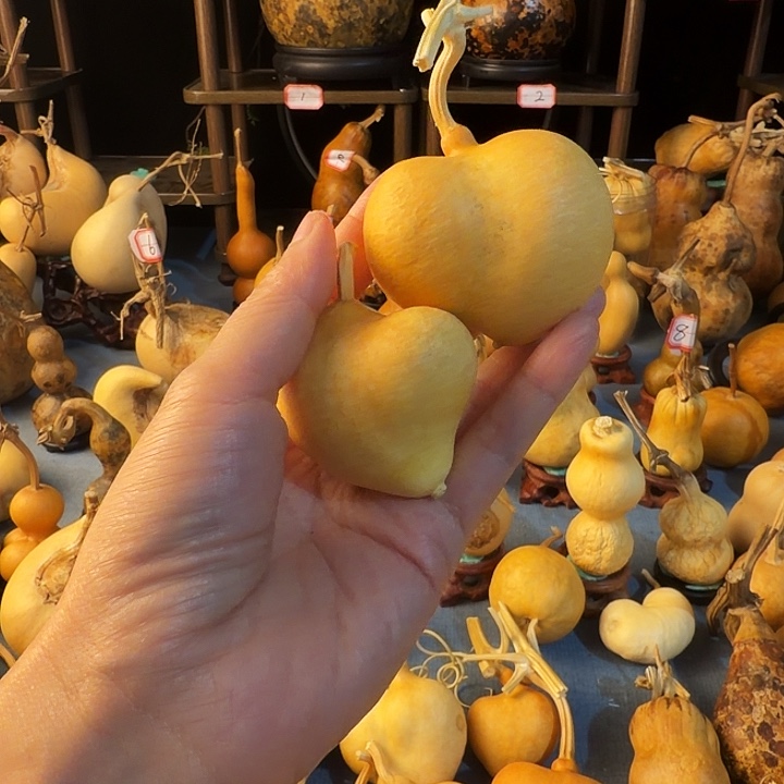 栀***梧大厚皮面膜是最适合