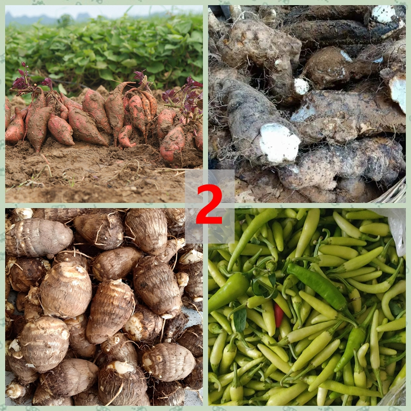 2号现场代购广西农家果蔬山货