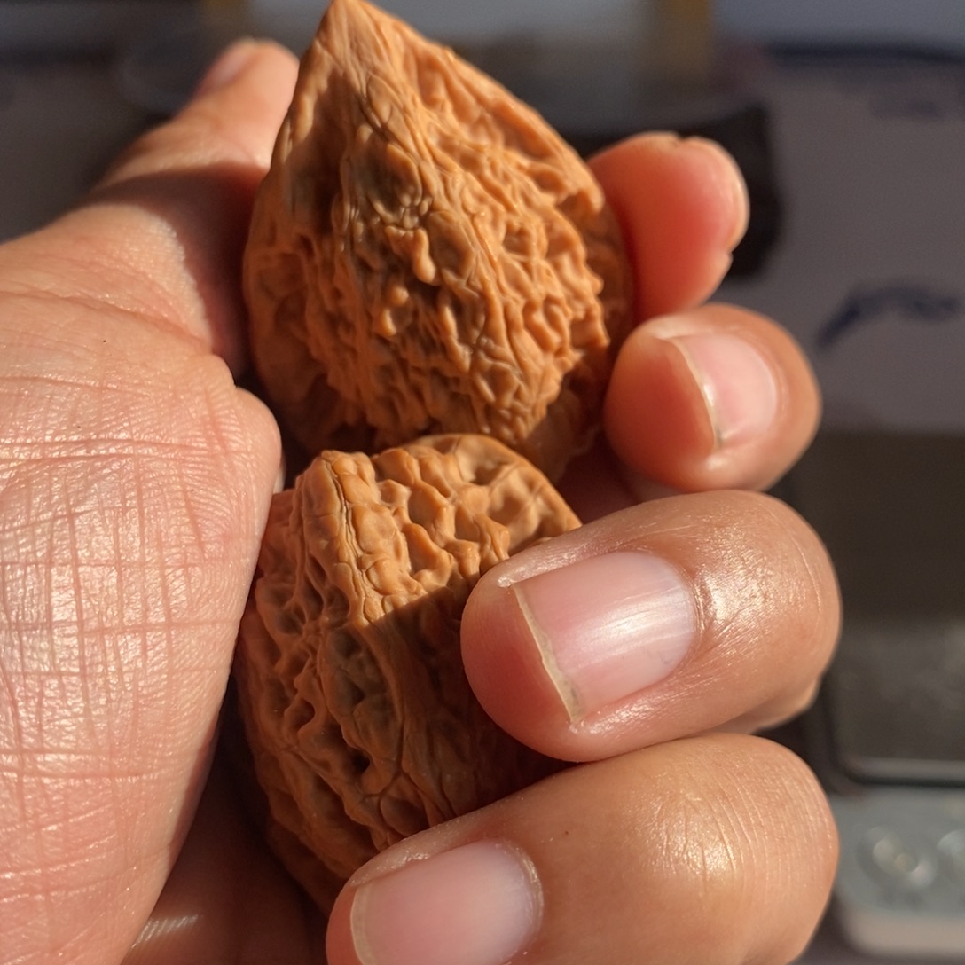 A***E大叶紫檀（黑酸枝木类）长治鸡心