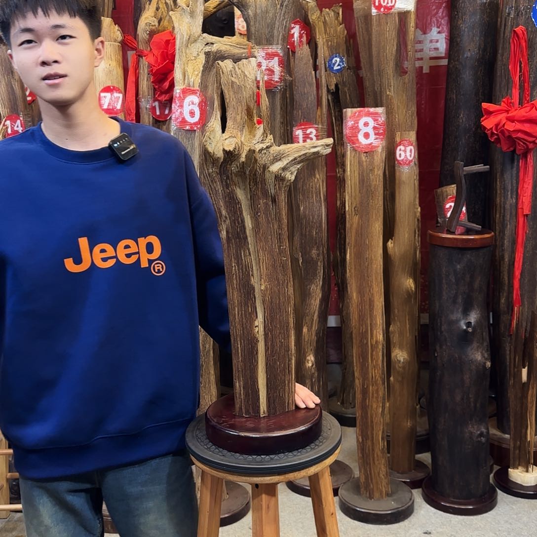 沉香摆件金****庭沉香摆件