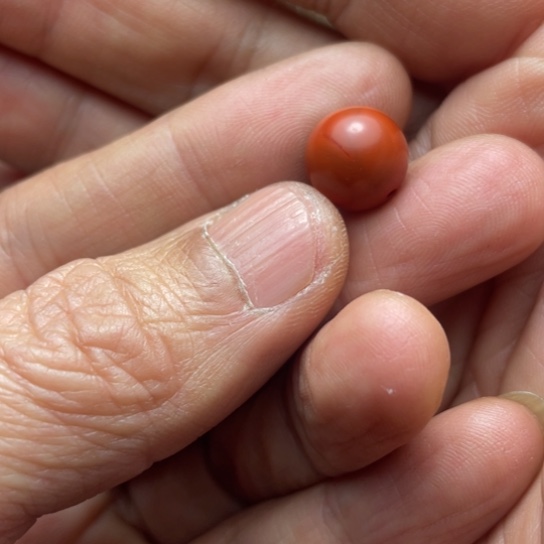 南红玛瑙未镶嵌手串11