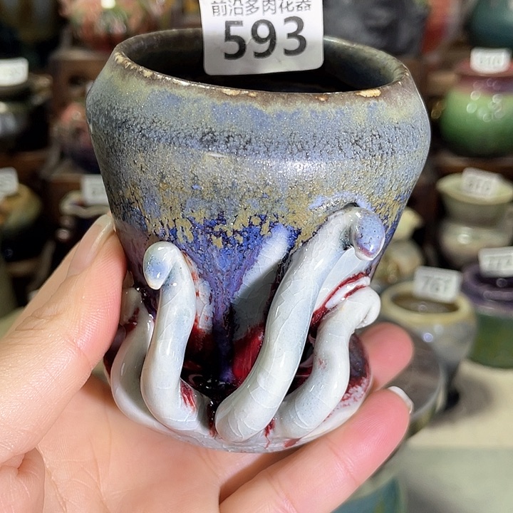 红陶内口径6高度8